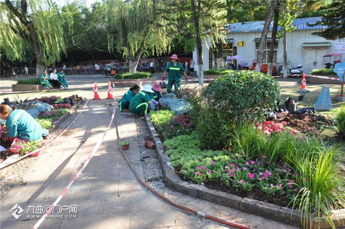 以賽促練強(qiáng)技能 匠心鑄就城市美——資陽市園林綠化管理處成功舉辦第十四屆“十萬職工大練兵、大比賽、技藝大比武”活動(dòng)