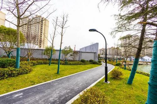 平湖市街頭綠化容貌升級 精細管理描繪城市新畫卷